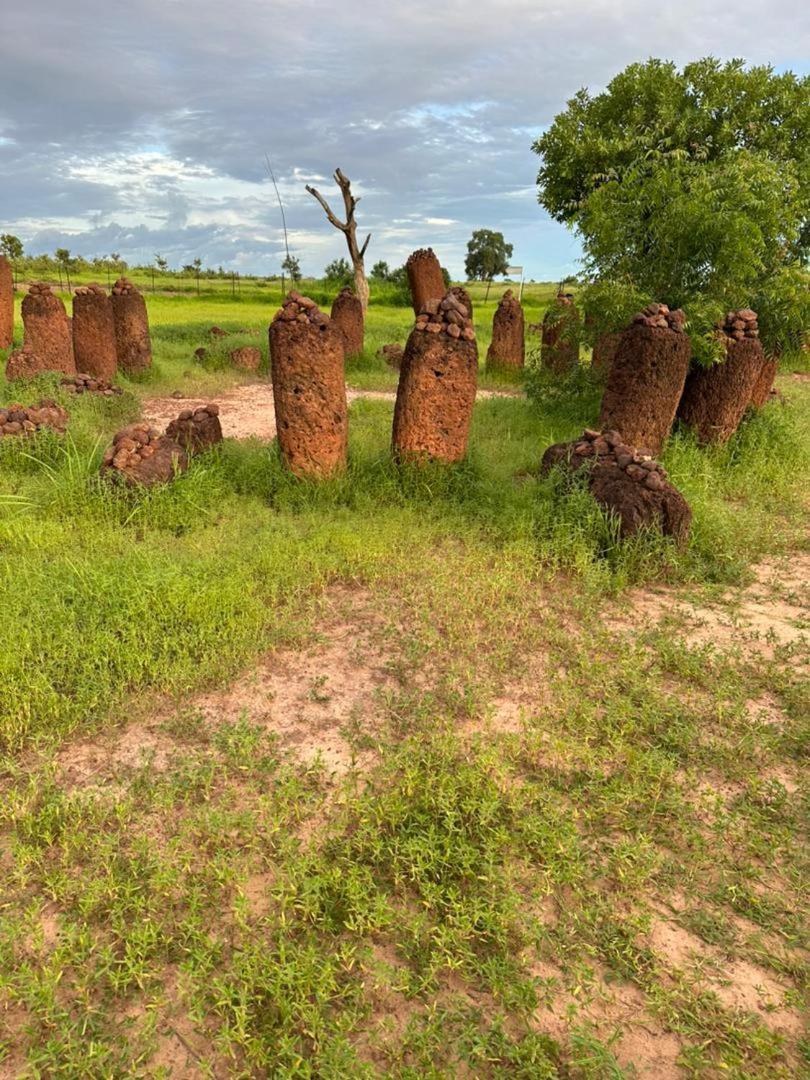 Pombo Kunda Sanyang Exterior foto